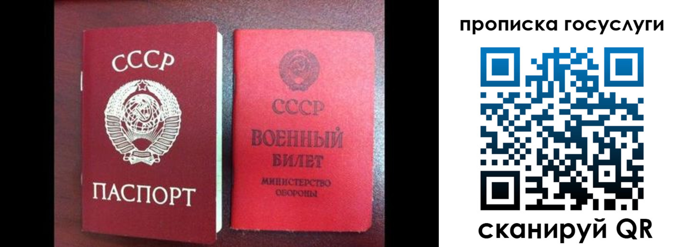 прописка регистрация в Петропавловске-Камчатском
